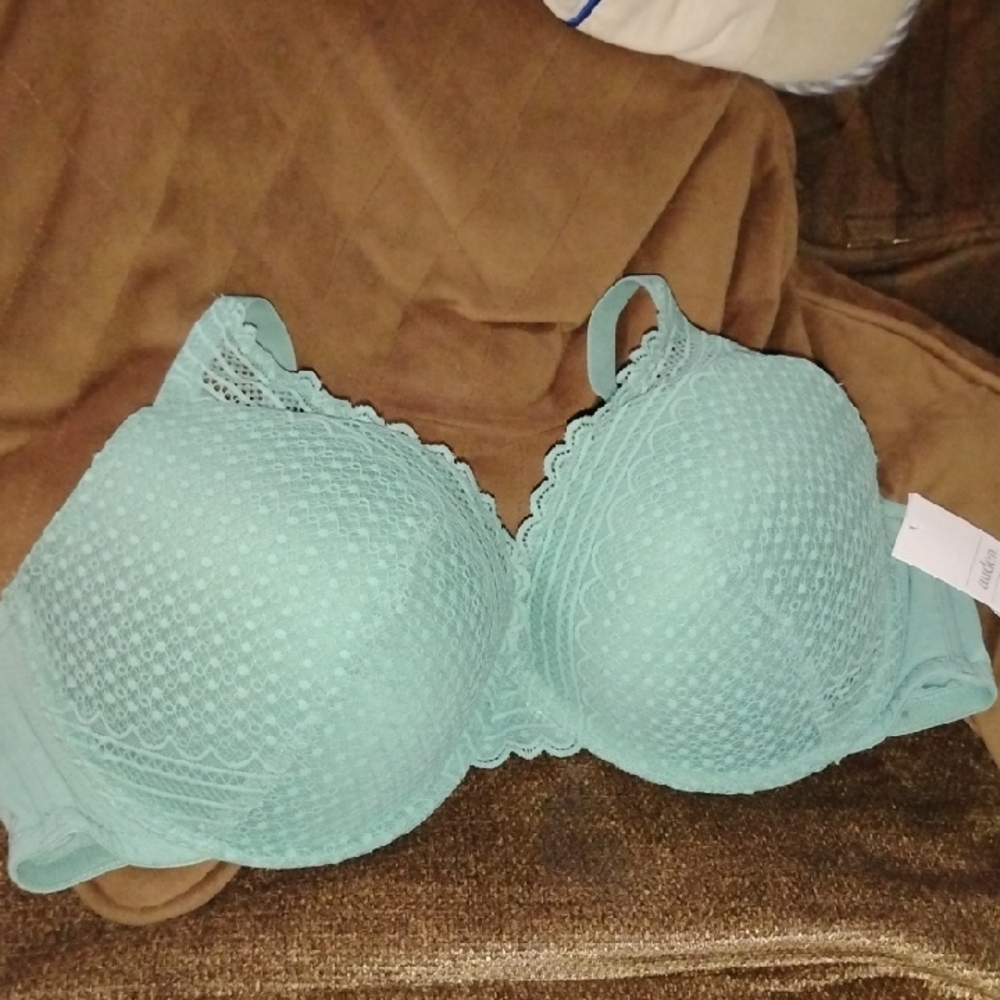 Auden Lace Bra in Mint Green